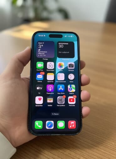 IPhone 15 Pro, Natural Titanium