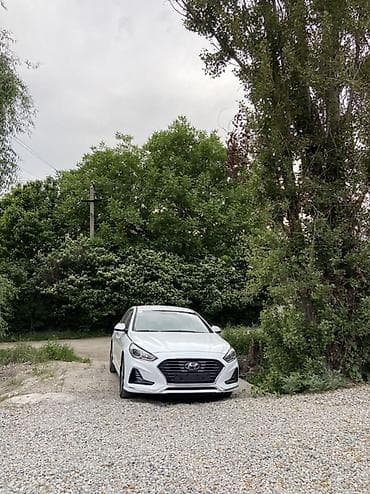 Транспорт: Hyundai Sonata: 2019 г., 2 л, Автомат, Газ, Седан — 5