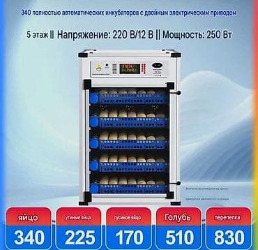 Полностью автоматический инкубатор на 5 ярусов с двойным