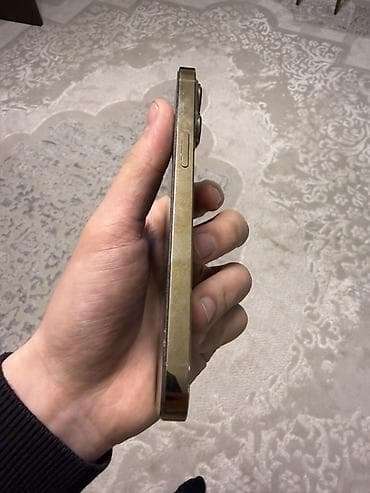 xr 13pro: IPhone 13 Pro, Золотой — 3