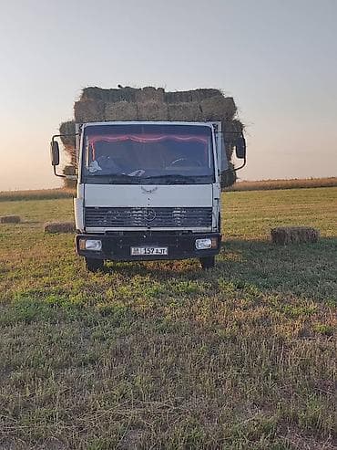 Жүк ташуучу унаа, Mercedes-Benz, Стандарт, 7 т, Колдонулган — 10