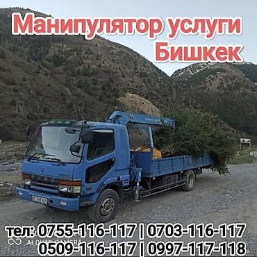 манипул: Манипулятор, Isuzu — 1