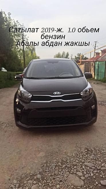 honda civic 2008 года: Kia Picanto: 2019 г., 1 л, Автомат, Бензин, Хэтчбэк — 1