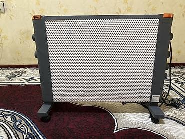 водный аттракцион: 4500сом — 1