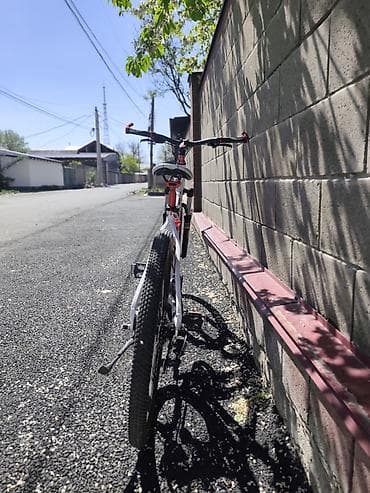 Спорт и хобби: Горный велосипед, Карбон — 3