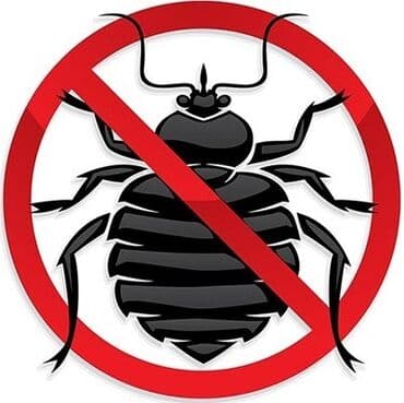 уничтожение клоп блох: Дезинфекция, дезинсекция, | Блохи, Клопы, Тараканы, | Дома, Кафе, магазины, Офисы — 4