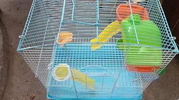 фелуцен для коров цена бишкек: Продаю клетки для хомячков. б/у. дёшево. от 400 до 1200 сом. также в — 9