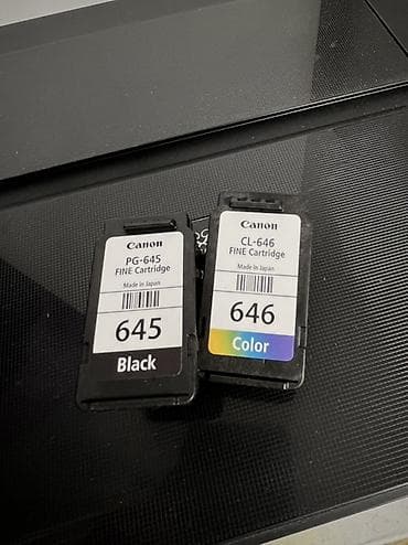 принтер для фото: МФУ Canon PIXMA TS3160 (черный) - Струйное устройство «3‑в‑1» — 3