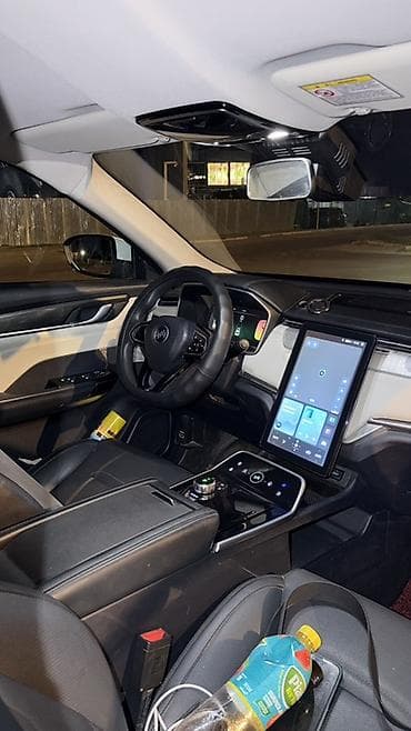 byd delphin: Weltmeister E5, 2021 г. — 4
