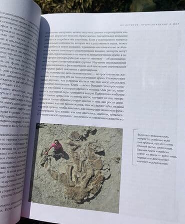 купить книгу кладбище домашних животных: Книга «Динозавры» Новая, покупали в Букингем, нигде не порвано, не — 9