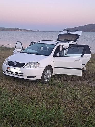 fort focus: Toyota Corolla: 2003 г., 1.6 л, Механика, Бензин, Универсал — 1