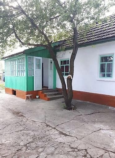 дом ананева: Продаю дом Джаильский район с.Сосновка по трассе Бишкек Ош участок 30 — 5