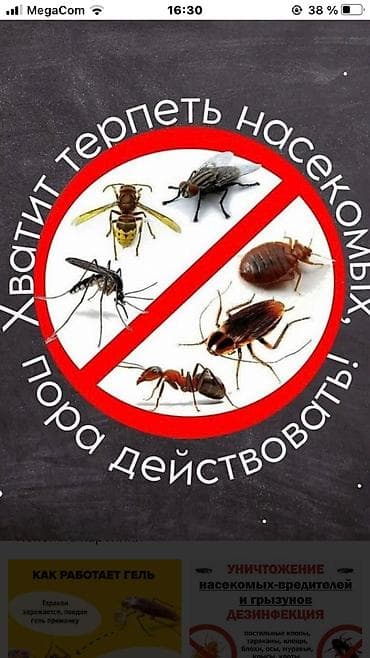 Клининговые услуги: Дезинфекция, дезинсекция, | Клопы, Блохи, Тараканы, | Транспорт, Офисы, Квартиры — 7