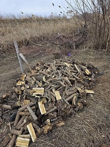 Дрова Платная доставка at lalafo.kg Дрова Платная доставка