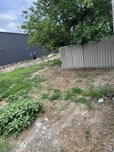 386 соток, Курулуш, Кызыл китеп