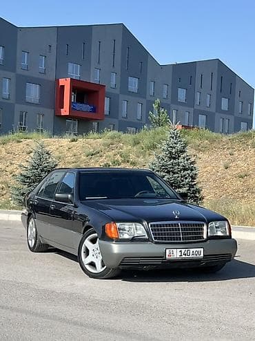 v class: Mercedes-Benz S-Class: 1994 г., 5 л, Автомат, Бензин, Седан — 8