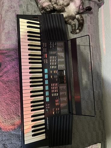 купить рюкзак бу: Продаю Синтезатор Yamaha PSR-48 Сама давно не играю, брала научиться — 2