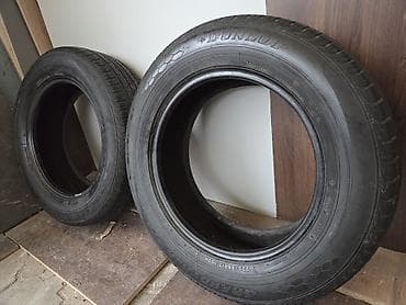 Шины 225 / 65 / R 17, Лето, Пара, Внедорожные (АТ/МТ), Япония, DUNLOP