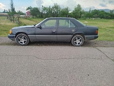 Mercedes-Benz W124: 1991 г., 0.2 - engine capacity л, Кол менен иштөөчү, Бензин, Седан — 4