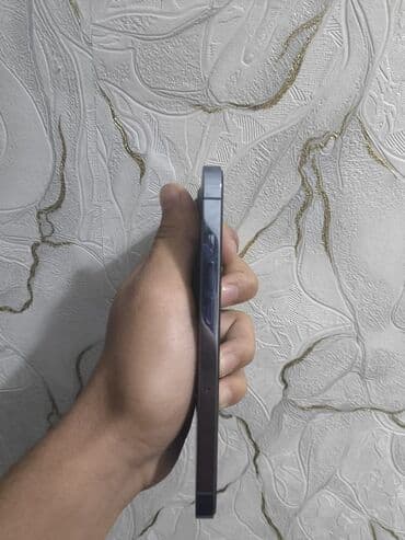 каракол телефон айфон: IPhone 13 Pro, Колдонулган, 128 ГБ, Көк, Каптама, 87 % — 3