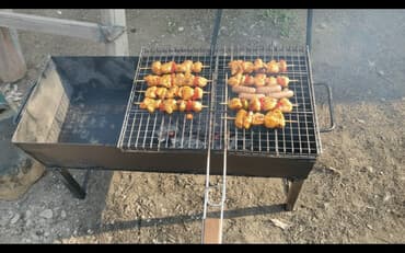 купить комнатные цветы в бишкеке дешево: Мангал — 1