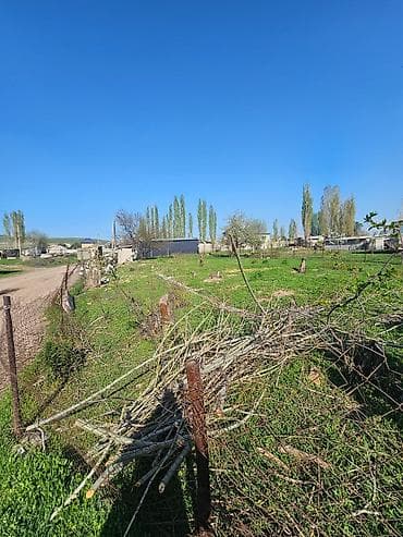 продажа земли сельскохозяйственного назначения: 6 соток, Для бизнеса, Красная книга — 3
