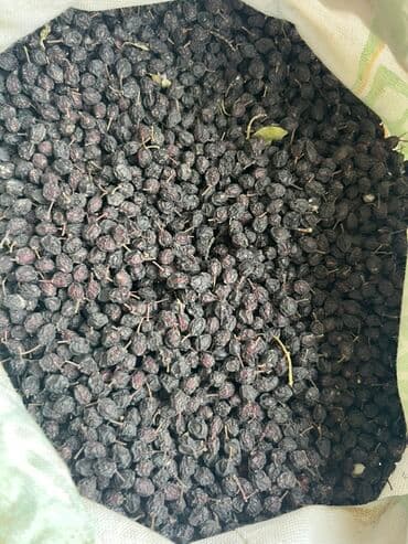 Сушёная черёмуха (ягоды целые, с косточкой) Собранна на хуторе иссык