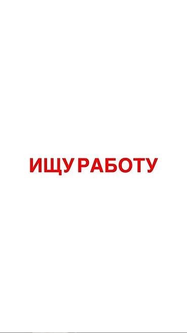 Услуга: ищу работу. Ключевые навыки и возможности: - Готов(а) at lalafo.kg Услуга: ищу работу. Ключевые навыки и возможности: - Готов(а)