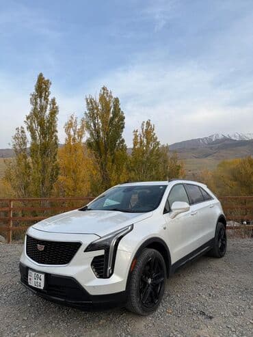 Cadillac : 2019 г., 2 л, Автомат, Бензин, Кроссовер