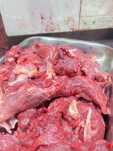 цены на мясо в бишкеке 2022: Мясо мясо мясоо. Продаются головное мясо Халал 💯 круговой целиком — 3