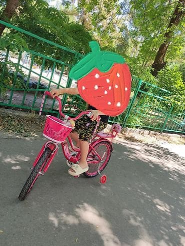 4: Детский велосипед, 2-колесный, 4 - 6 лет, Для девочки, Б/у — 2