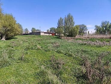 земельный доля: 23 соток, Для сельского хозяйства, Красная книга — 2