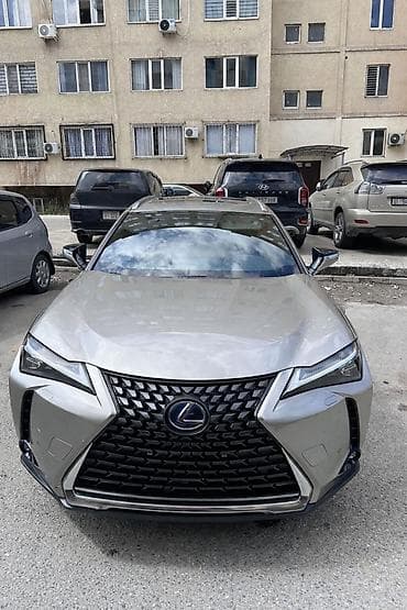 tesla 3: Lexus UX: 2019 г., 2 л, Автомат, Гибрид, Кроссовер — 1