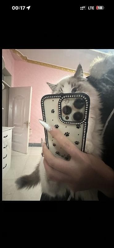 leather case: НОВЫЙ Чехол для IPHONE 14 Pro Max с дизайном Cat World - Материал — 2