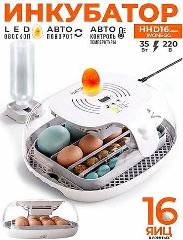 Инкубатор на 16 яиц #Инкубатор #БизнесИнкубатор at lalafo.kg Инкубатор на 16 яиц #Инкубатор #БизнесИнкубатор