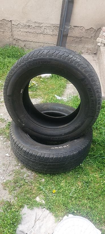 mishelin: Шины 265 / 60 / R 18, Лето, Комплект, Внедорожные (АТ/МТ), Michelin — 7