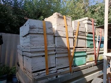 дом для кроликов: Пчелиные ульи из дерева, около 45 комплектов предназначенные для — 1