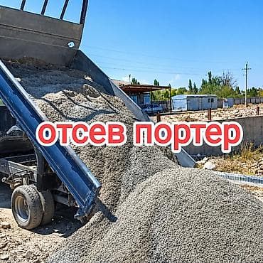 Животные: Отсев отсев отсев отсев отсев отсев отсев отсев отсев отсев отсев — 2