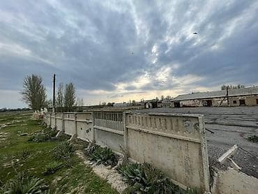 elite residence: 81 соток, Для строительства, Красная книга, Договор купли-продажи — 10