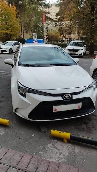 Курсы вождения | (B) | Частный инструктор