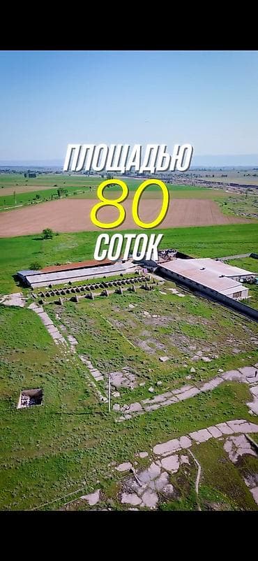 Продажа участков: 80 соток, Для строительства, Красная книга, Договор купли-продажи — 1