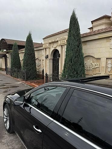 Audi: Audi A8: 2012 г., 3 л, Автомат, Бензин, Седан — 10