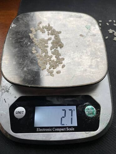 рисовые отруби: Рис круглый, күрүч Рис шлифованный в упаковках по 25 кг. Доставка с — 2