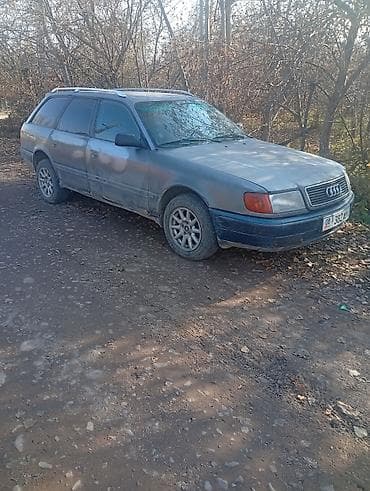 Audi 100: 1993 г., 2.3 л, Механика, Бензин, Универсал