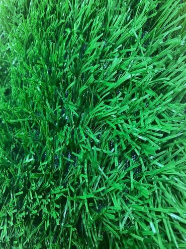 купить газонную траву в бишкеке: Скидка скидка 💥💥💥💥 Газон для футбольного поля 4см 11000 дтекс Цвет — 3
