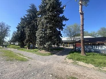 Продажа бизнеса Кафе, Вместе с: Недвижимость at lalafo.kg Продажа бизнеса Кафе, Вместе с: Недвижимость