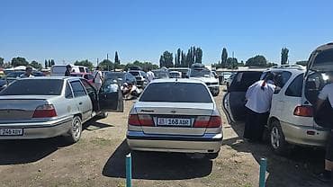 выбор номера о: Nissan Primera: 1998 г., 1.8 л, Механика, Бензин, Седан — 2