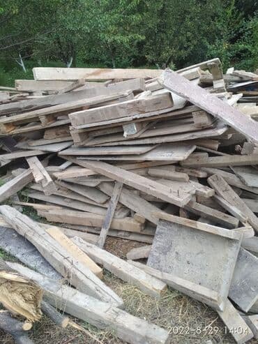 купить саженец павловнии: Дрова — 1