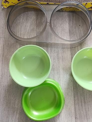 ат минуу: Продаю б/ у аксессуары для кошки. За все прошу 2000с. Все в отличном — 4