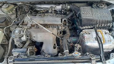 Toyota: Toyota Ipsum: 2000 г., 2 л, Автомат, Бензин, Вэн/Минивэн — 4